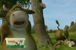 Anchor Spreadable - Falling Branch
